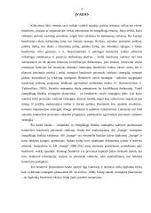 Strateginis planavimas UAB "Snaigė" 2 puslapis