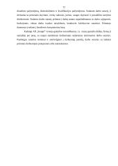 Strateginis planavimas UAB "Snaigė" 11 puslapis
