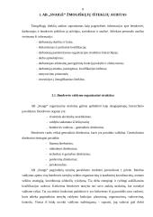 Strateginis planavimas UAB "Snaigė" 7 puslapis