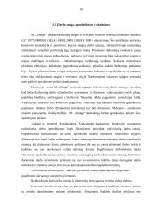 Strateginis planavimas UAB "Snaigė" 9 puslapis
