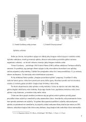 Intelektas žmogaus 9 puslapis