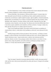 Smurtas prieš vaikus šeimoje namų darbas 5 puslapis