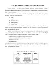 Statybinių medžiagų savarankiško darbo užduotis 3 puslapis