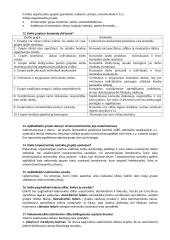 Komunikavimas ir retorika 2 puslapis