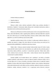 Diskurso referatas 13 puslapis