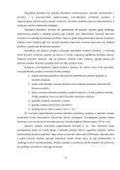 Įstatymų leidybos procedūra 11 puslapis