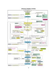 Įstatymų leidybos procedūra 13 puslapis