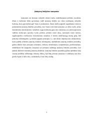 Įstatymų leidybos procedūra 3 puslapis