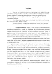 Įstatymų leidybos procedūra 4 puslapis