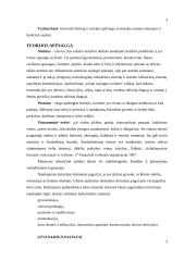 Ignalinos miesto pastatų ir įrenginių tipologija 3 puslapis