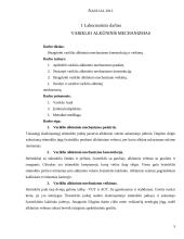 Automobiliai laboratorinis darbas 2 puslapis