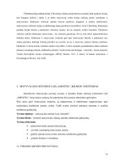 Motyvacijos sistemos vertinimas ir tobulinimo galimybės 12 puslapis