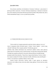 Motyvacijos sistemos vertinimas ir tobulinimo galimybės 14 puslapis