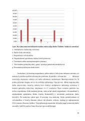 Motyvacijos sistemos vertinimas ir tobulinimo galimybės 18 puslapis