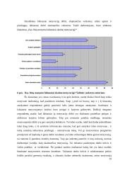 Motyvacijos sistemos vertinimas ir tobulinimo galimybės 19 puslapis
