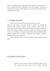 Motyvacijos sistemos vertinimas ir tobulinimo galimybės 20 puslapis