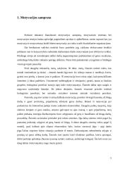 Motyvacijos sistemos vertinimas ir tobulinimo galimybės 5 puslapis