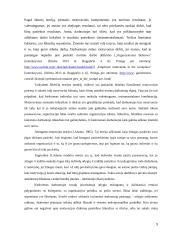 Motyvacijos sistemos vertinimas ir tobulinimo galimybės 9 puslapis