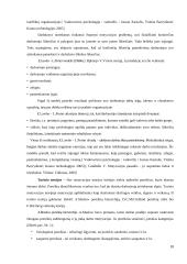 Motyvacijos sistemos vertinimas ir tobulinimo galimybės 10 puslapis