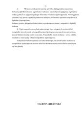 Trumpalaikio mokumo analizė 11 puslapis