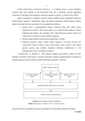 Trumpalaikio mokumo analizė 3 puslapis