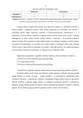 Trumpalaikio mokumo analizė 4 puslapis