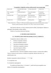 Trumpalaikio mokumo analizė 5 puslapis