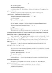 Trumpalaikio mokumo analizė 7 puslapis