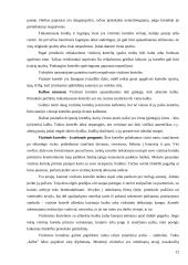 Tarptautinis protokolas konspektas 12 puslapis