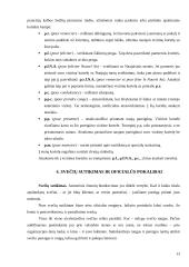 Tarptautinis protokolas konspektas 13 puslapis