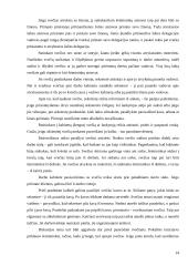 Tarptautinis protokolas konspektas 14 puslapis