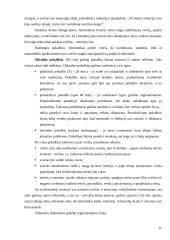 Tarptautinis protokolas konspektas 15 puslapis