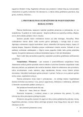 Tarptautinis protokolas konspektas 3 puslapis