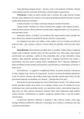 Tarptautinis protokolas konspektas 5 puslapis