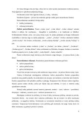 Tarptautinis protokolas konspektas 6 puslapis