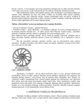 Fizikos referatas apie amžinuosius variklius 2 puslapis