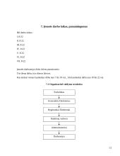 UAB "Palink" veiklos organizavimas baigiamasis darbas 12 puslapis