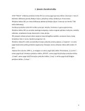 UAB "Palink" veiklos organizavimas baigiamasis darbas 4 puslapis