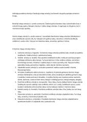 Galvos arterijų sistema 2 puslapis