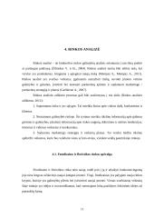 Verslo planas. Agroverslų pagrindų semestrinis darbas 11 puslapis