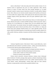 Verslo planas. Agroverslų pagrindų semestrinis darbas 12 puslapis