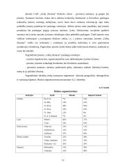 Verslo planas. Agroverslų pagrindų semestrinis darbas 13 puslapis