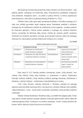 Verslo planas. Agroverslų pagrindų semestrinis darbas 15 puslapis