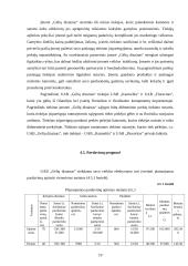 Verslo planas. Agroverslų pagrindų semestrinis darbas 19 puslapis