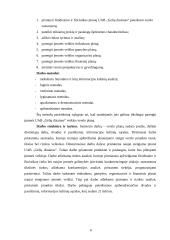 Verslo planas. Agroverslų pagrindų semestrinis darbas 4 puslapis