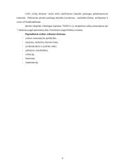 Verslo planas. Agroverslų pagrindų semestrinis darbas 6 puslapis