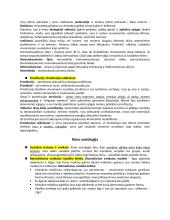 Įvadas į sociologiją konspektas 12 puslapis