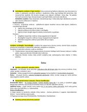 Įvadas į sociologiją konspektas 13 puslapis