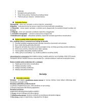 Įvadas į sociologiją konspektas 14 puslapis