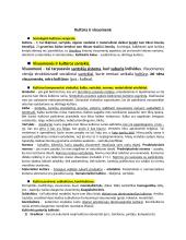 Įvadas į sociologiją konspektas 4 puslapis